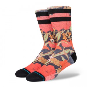 Stance Socken - Backpetal